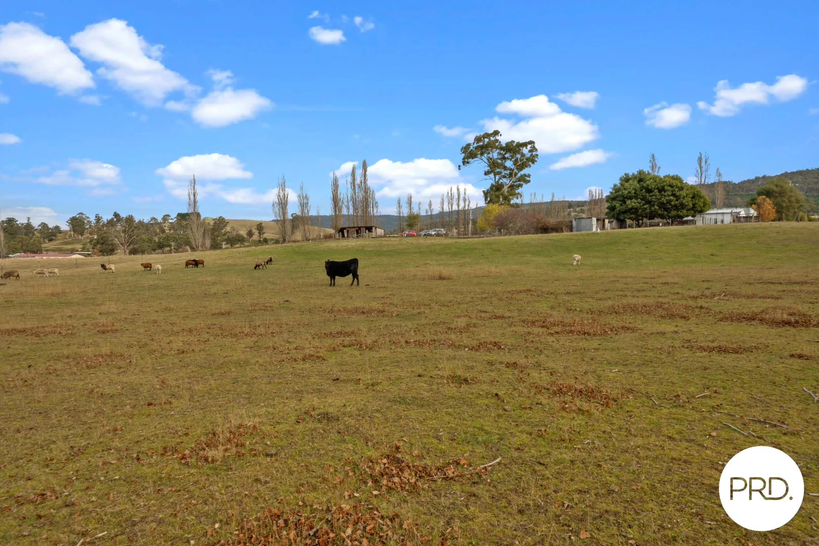 Additional image 16 of 240 Ellendale Road, Fentonbury TAS 7140