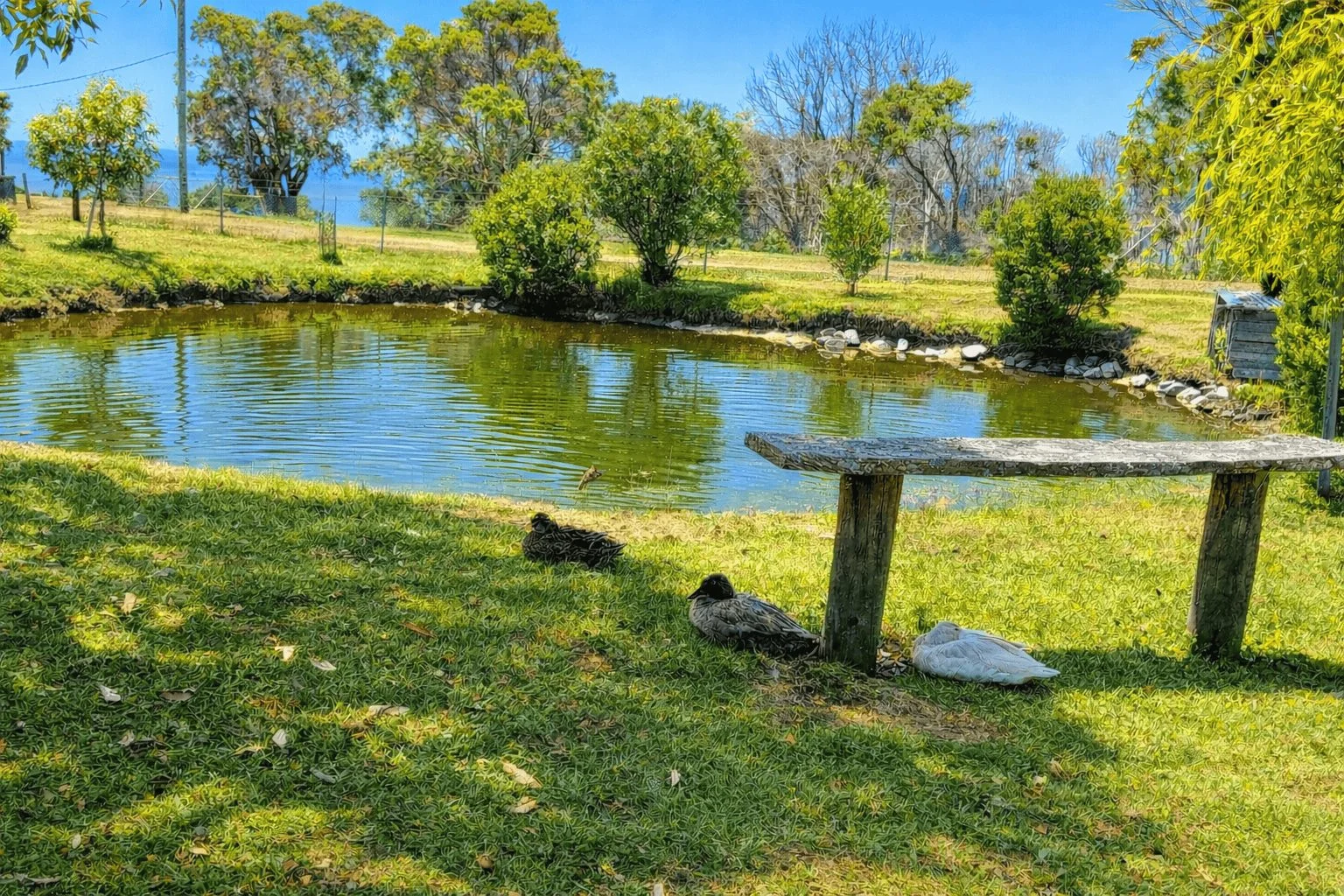 Additional image 15 of 23 Skyline Drive, Naracoopa TAS 7256