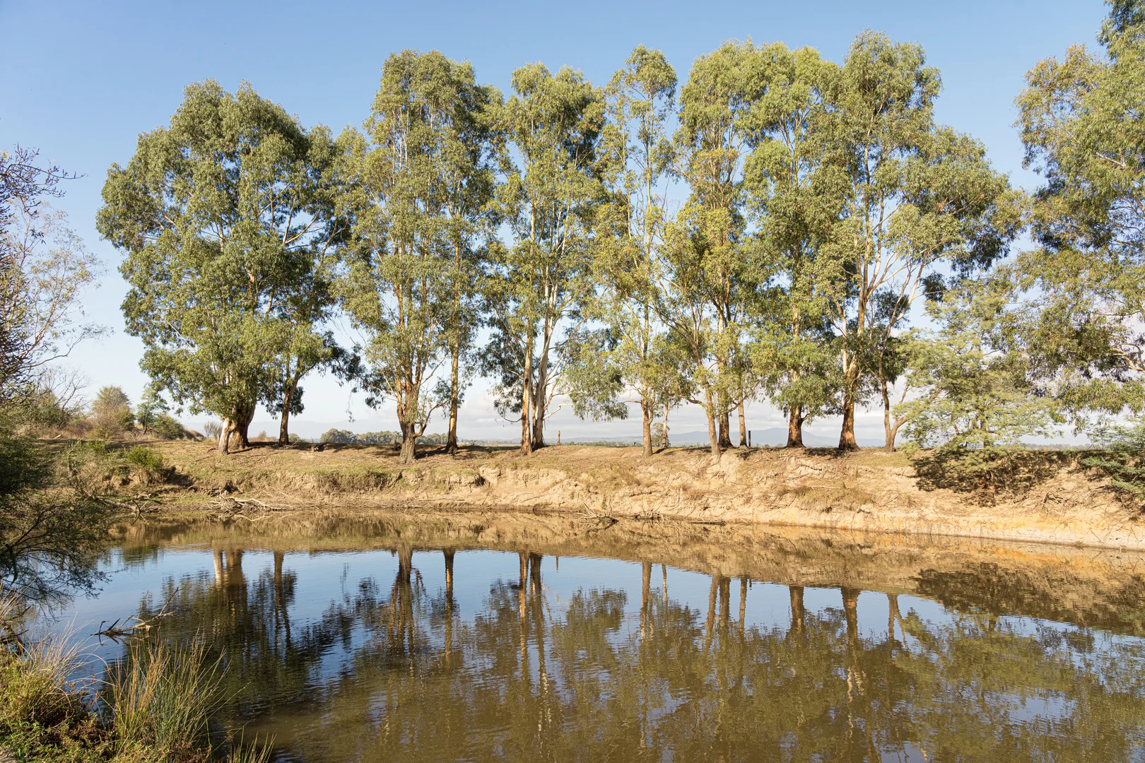 Additional image 12 of 177 Yarraview Road, Yarra Glen VIC 3775