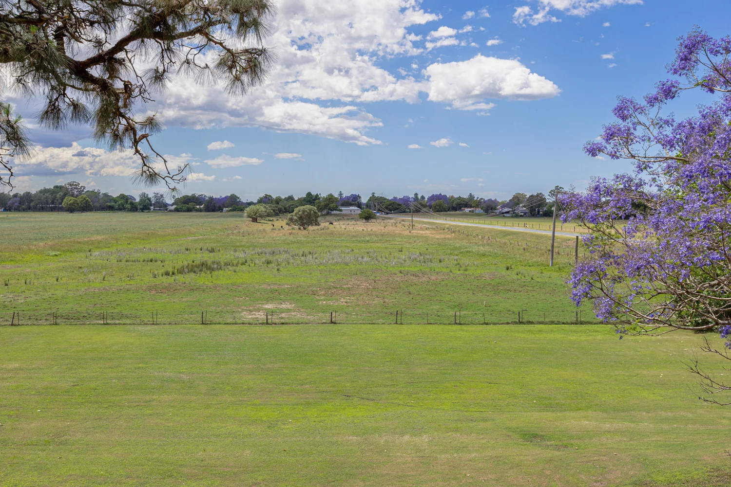 Additional image 26 of 110 Mount Pleasant Street, Maitland NSW 2320