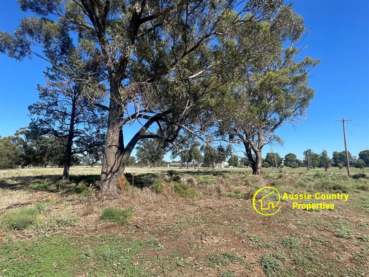 Additional image 15 of 51-59 Momalong Street, Berrigan NSW 2712