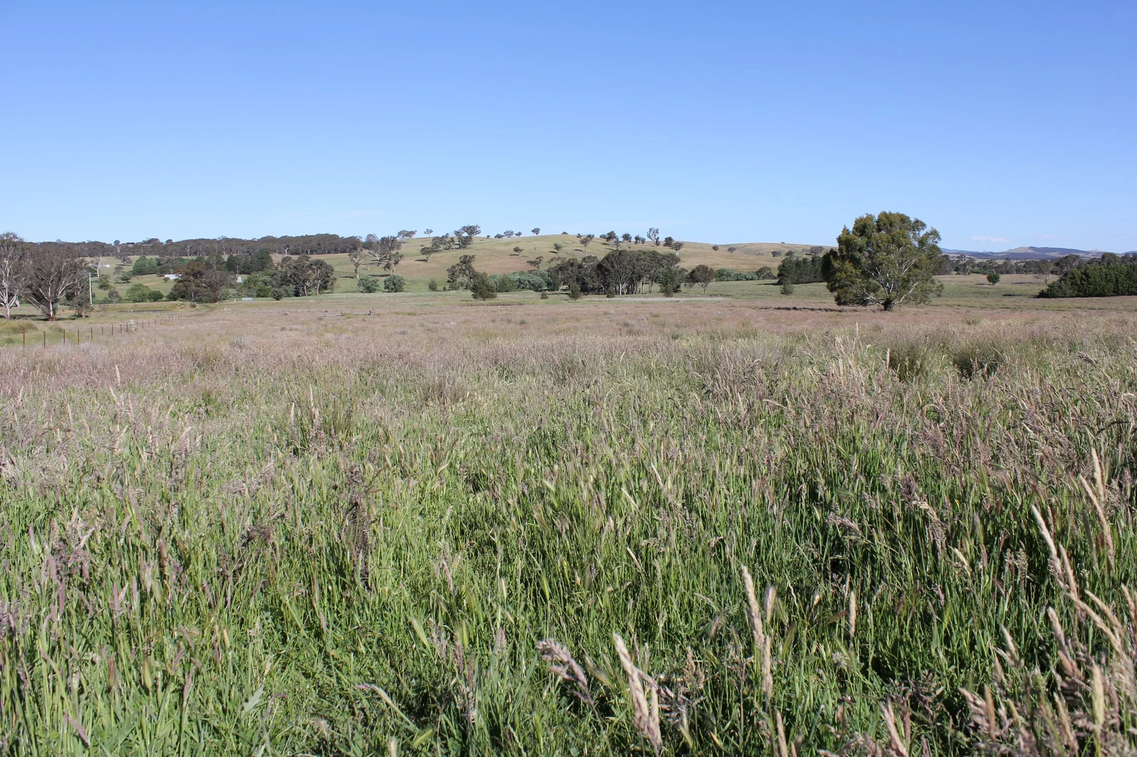 Additional image 13 of 48 & 98/413 Flacknell Creek Road, Gunning NSW 2581