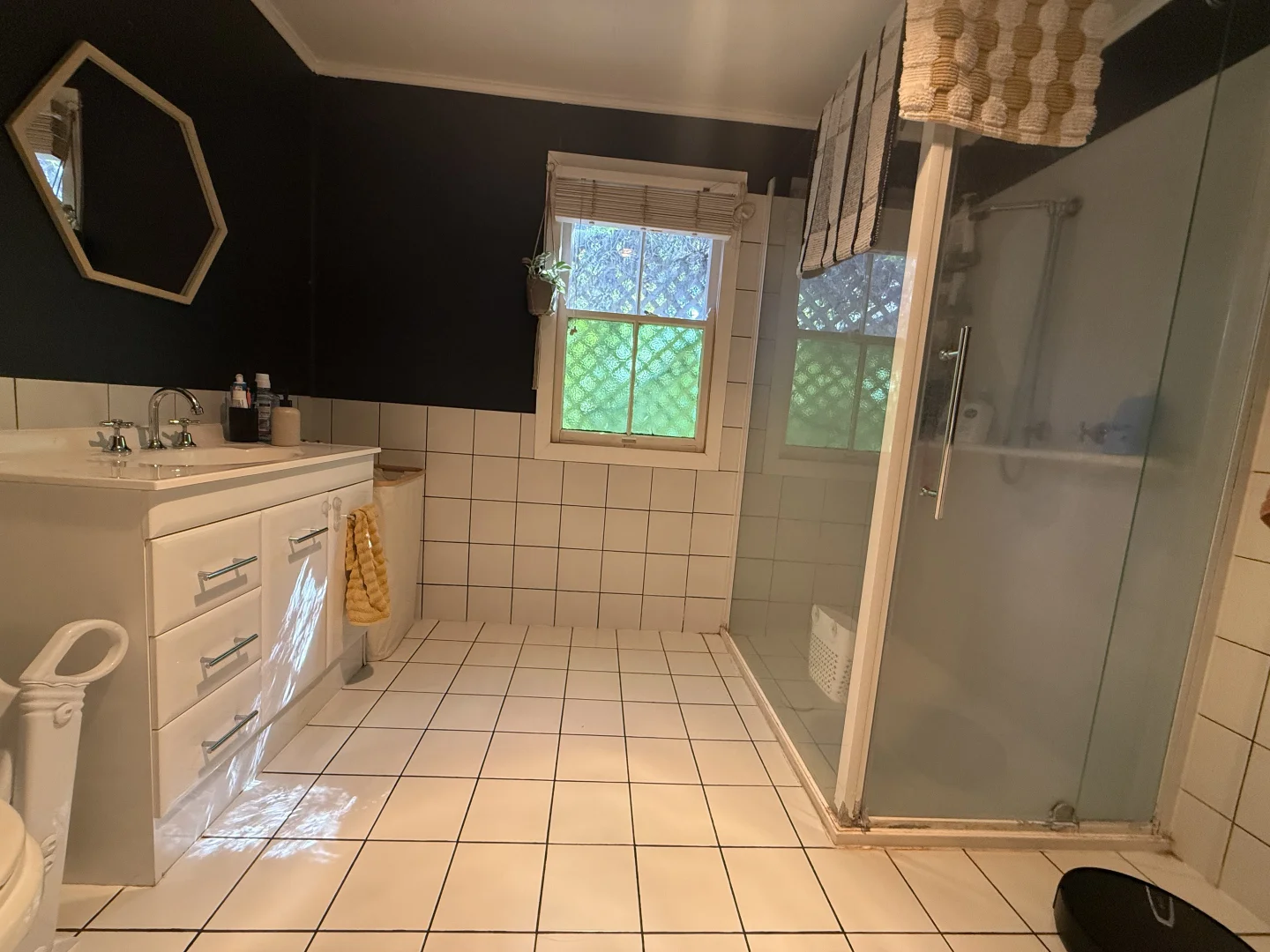 Additional image 6 of 155 Parry Street, Charleville QLD 4470