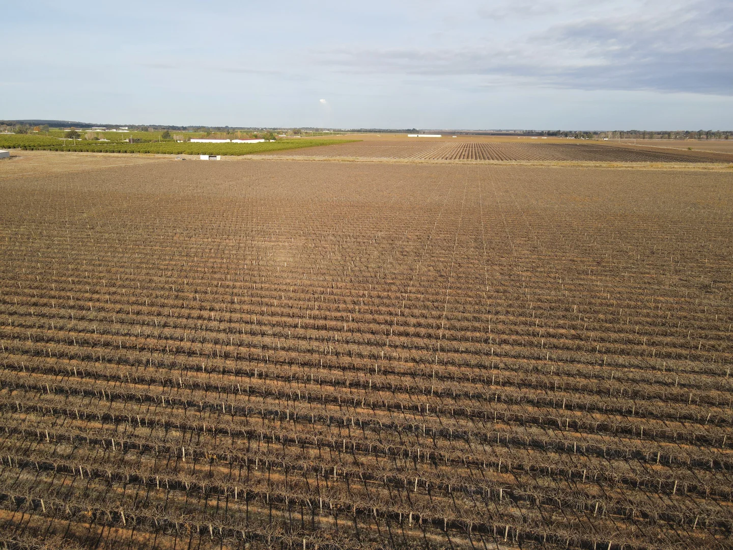 Additional image 6 of 1802 Old Well Road, Tharbogang NSW 2680