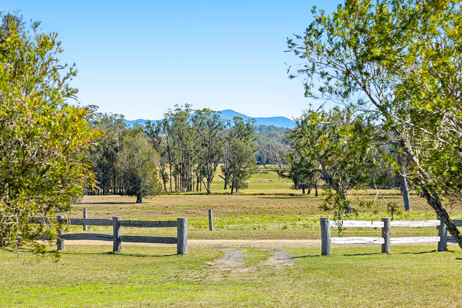 Additional image 8 of 138 Noggarula Drive, Congo NSW 2537