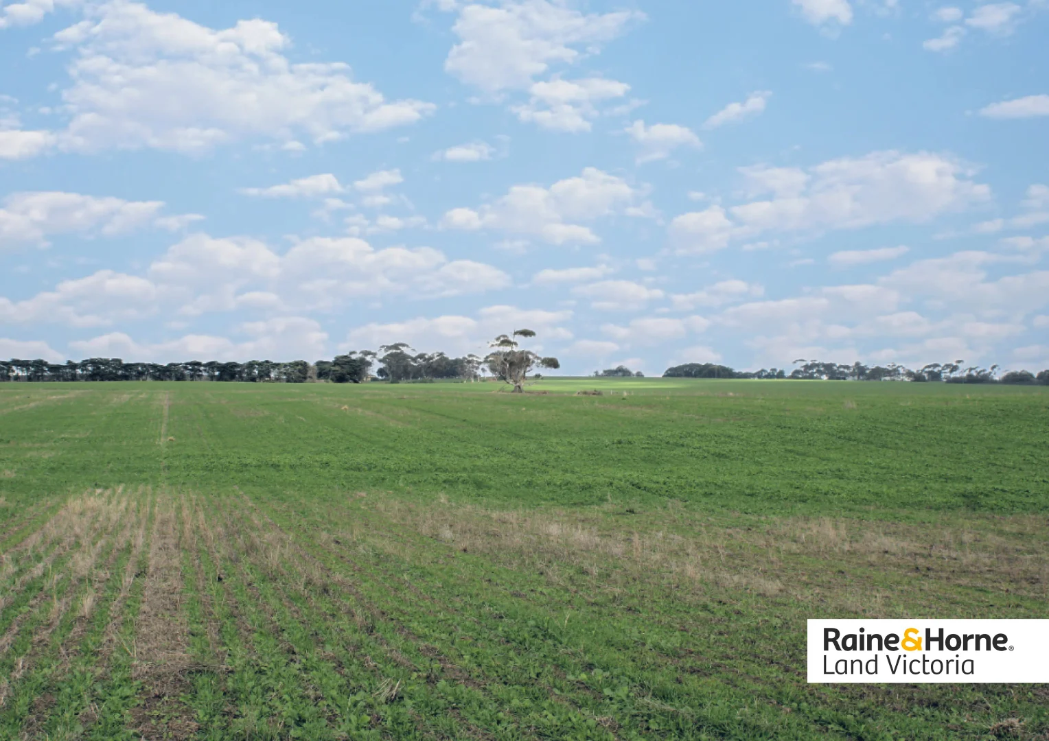 Additional image 5 of 171-209 Scarborough Road, Curlewis VIC 3222