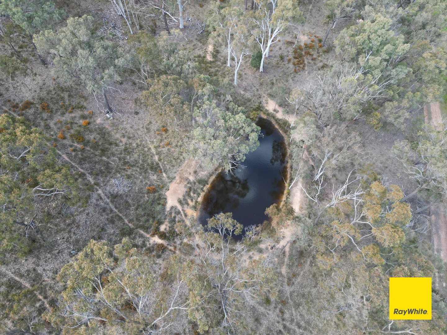 Additional image 59 of 3 Darmody Place, Sutton NSW 2620