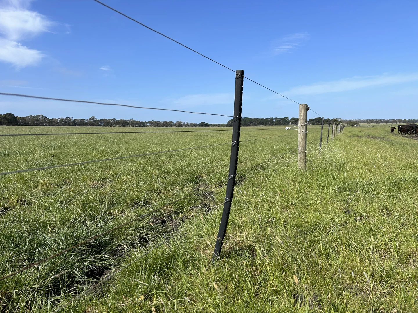 Additional image 17 of Contact Agent, Macarthur VIC 3286