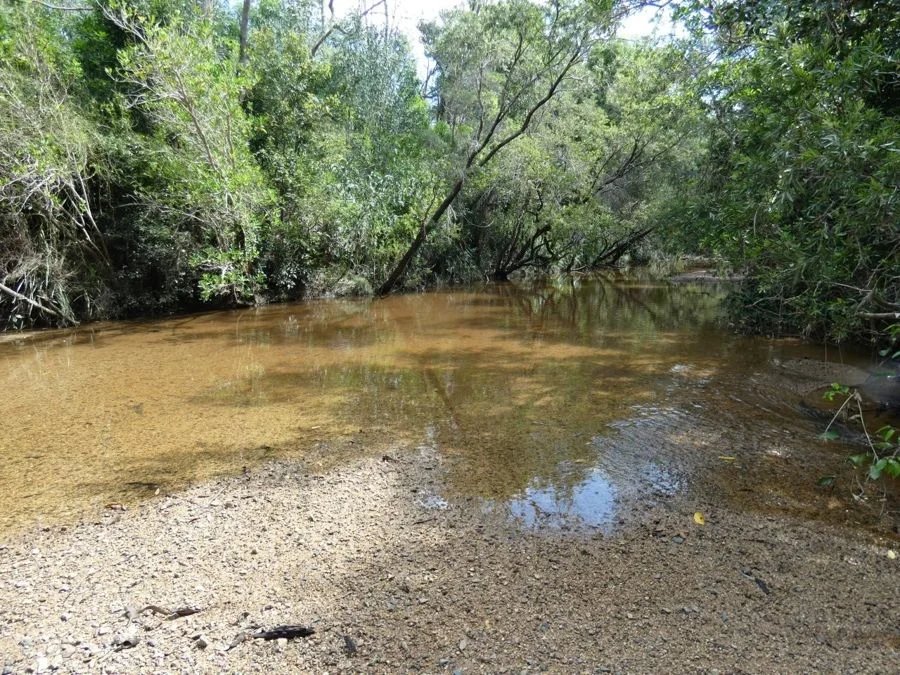 Additional image 30 of 397 Mollenhagens Road, Rosedale QLD 4674