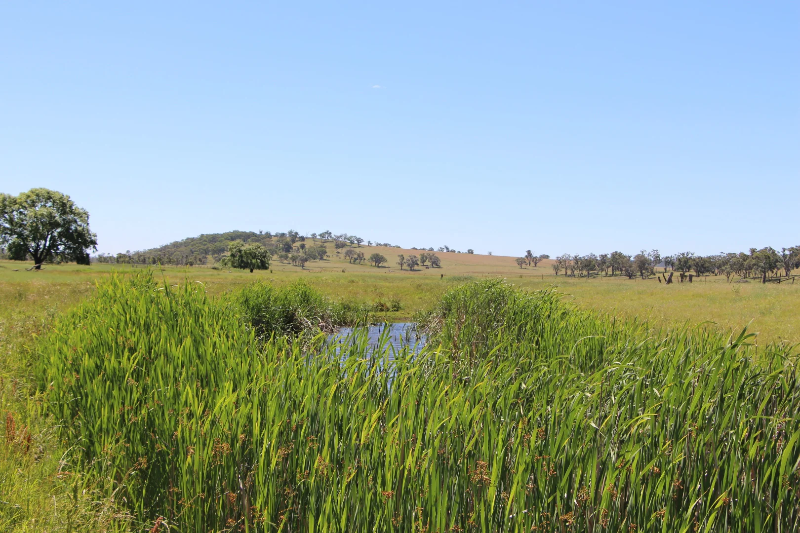 Additional image 12 of 134 Ruwenzorie Rd Wellingrove, Glen Innes NSW 2370