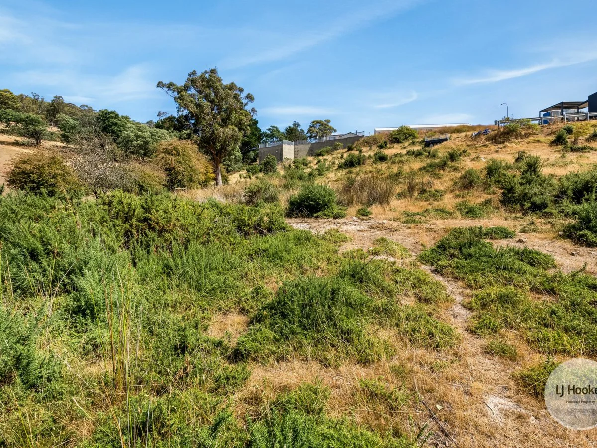 Additional image 4 of 20 Ancanthe Avenue, Lenah Valley TAS 7008