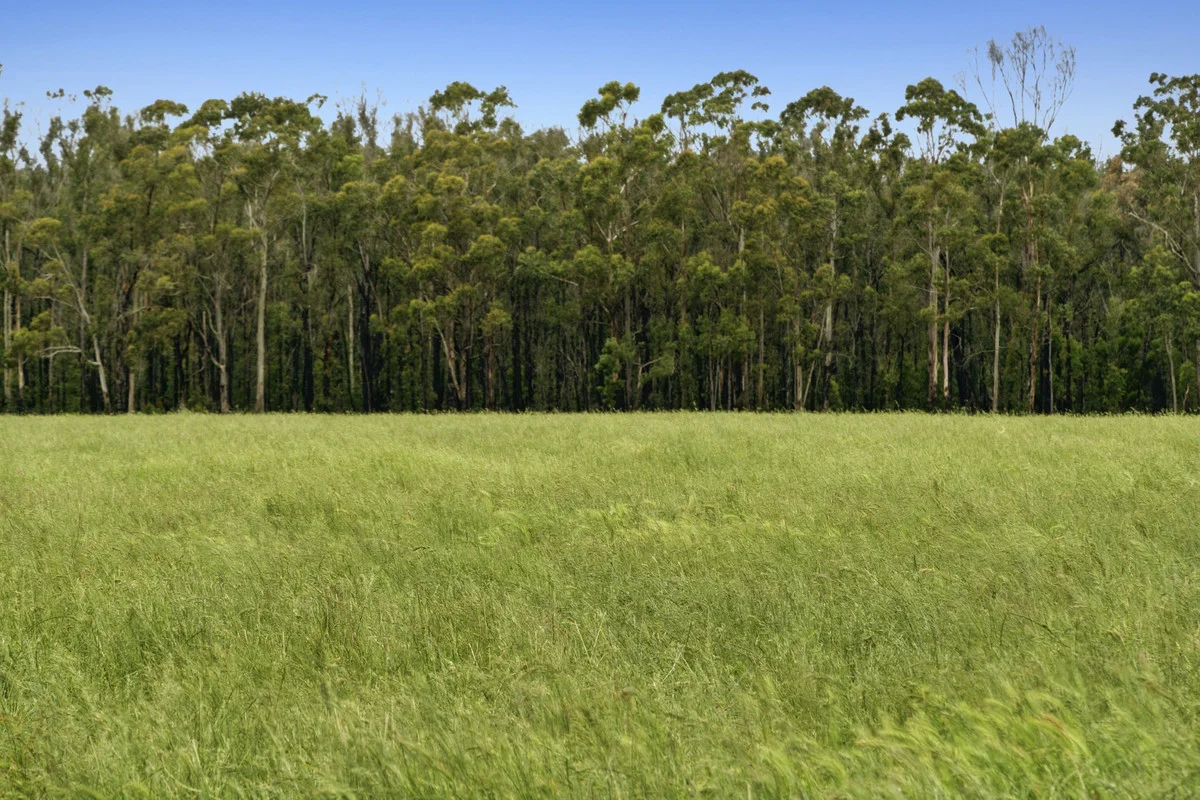 Additional image 2 of 190 Blacks Road, Irrewillipe VIC 3249