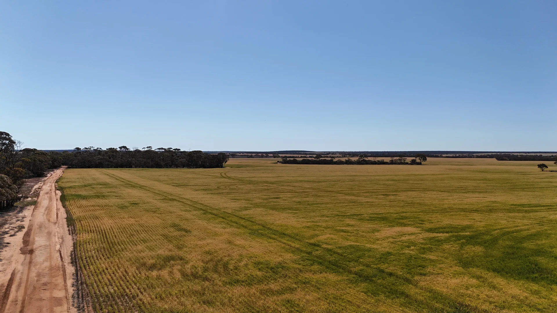 Additional image 37 of 3279 Calzoni Road, Hyden WA 6359