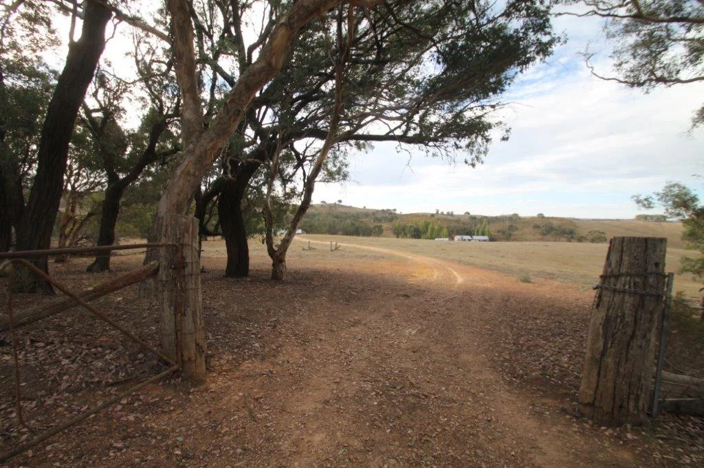 Additional image 12 of 2137 Kiowarrah Road, Bevendale NSW 2581