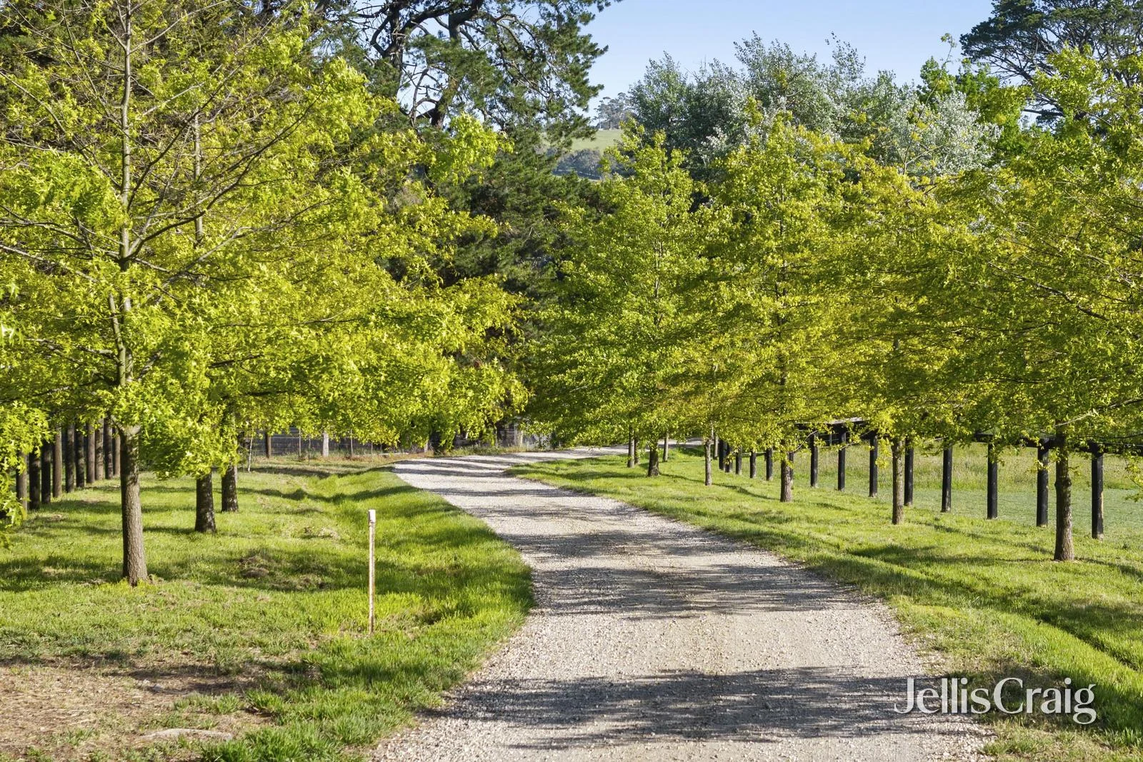 Additional image 6 of Lesmurdie Park 1265 Rochford Road, Newham VIC 3442