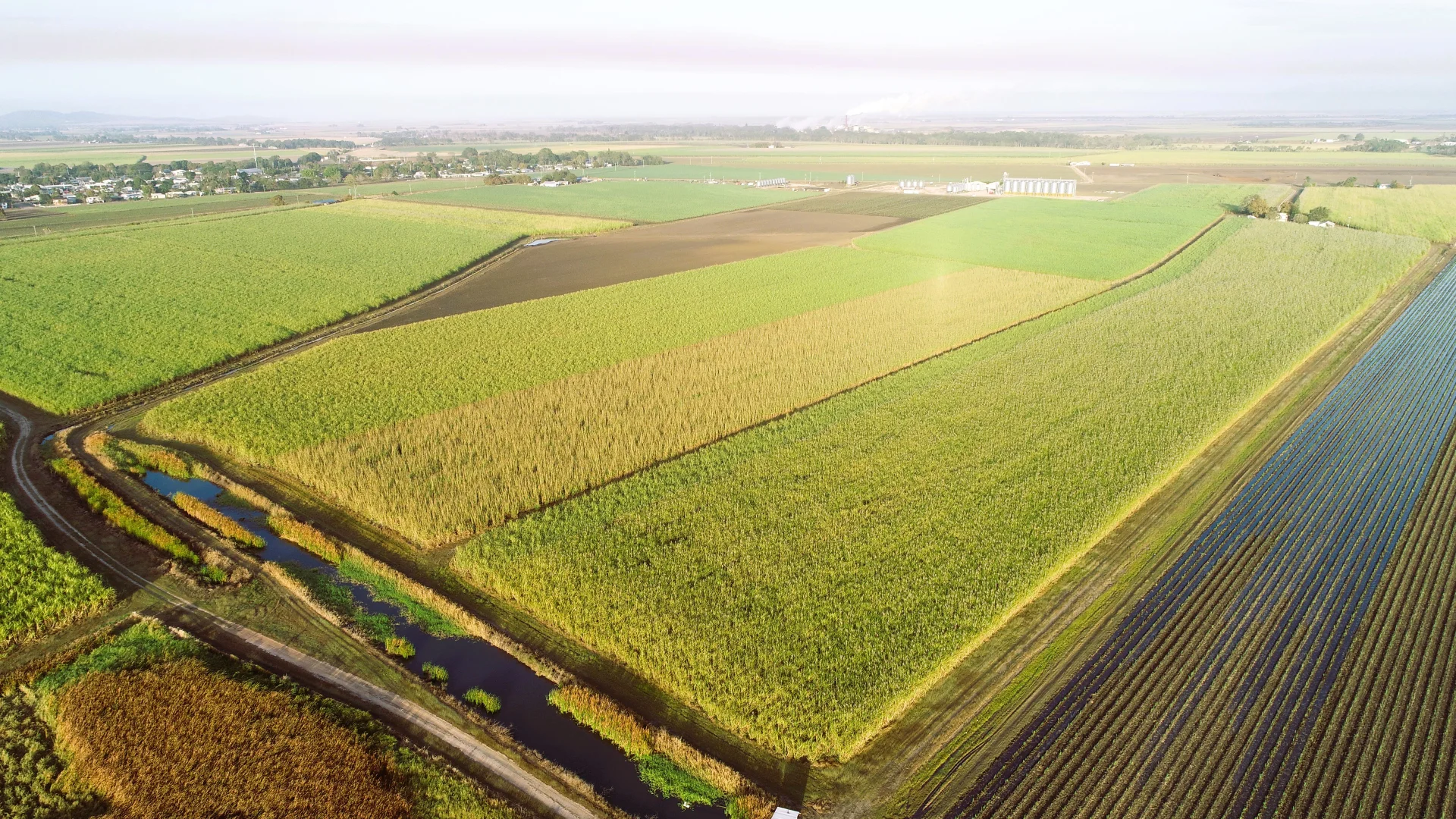 Additional image 5 of 20 Colevale Road, Brandon QLD 4808