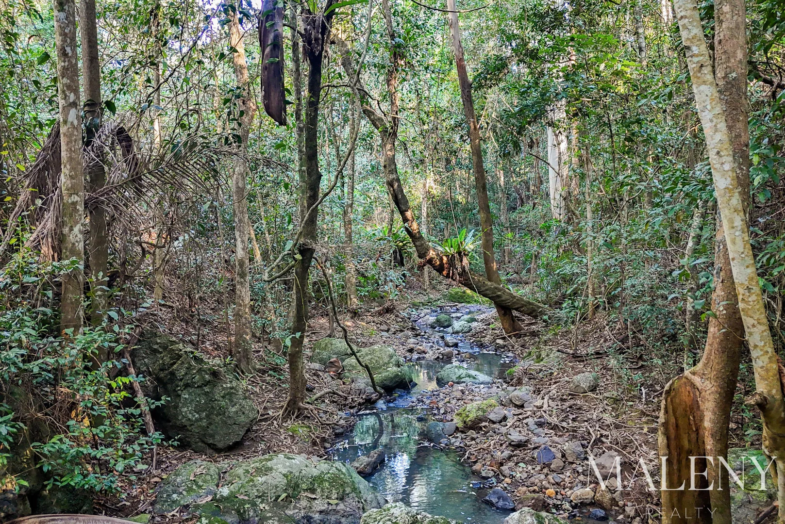 Additional image 11 of LOT 2 Maleny Kenilworth Road, Witta QLD 4552