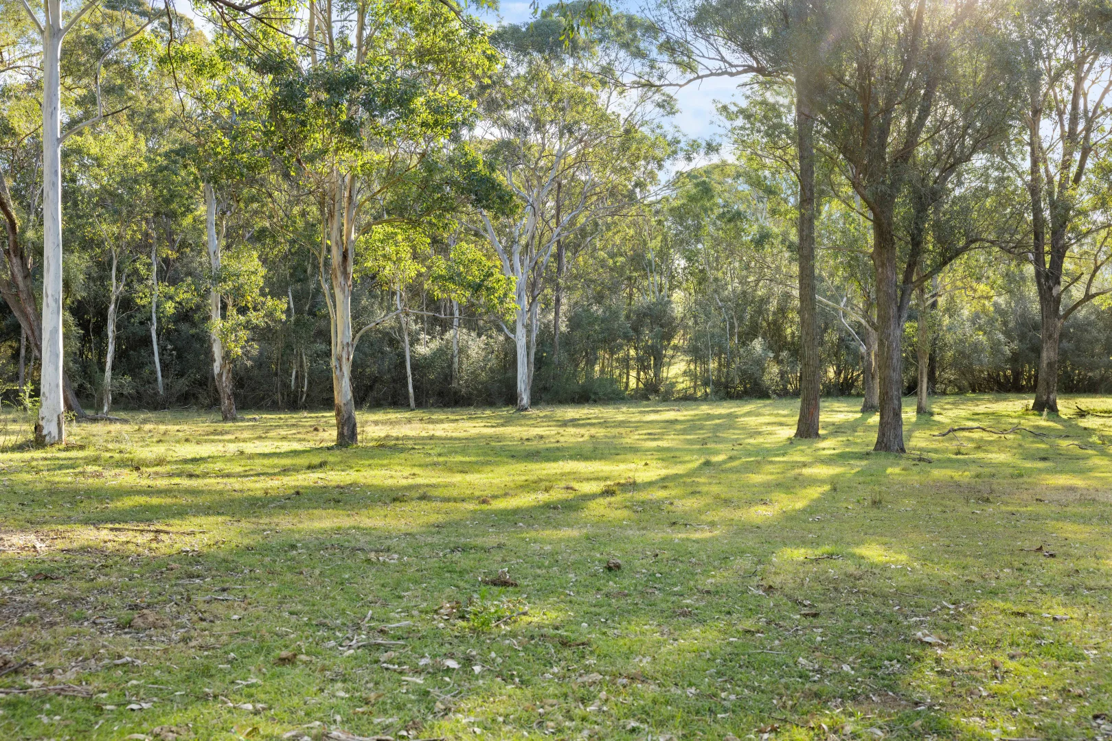 Additional image 26 of 377-379 Cobbitty Road, Cobbitty NSW 2570