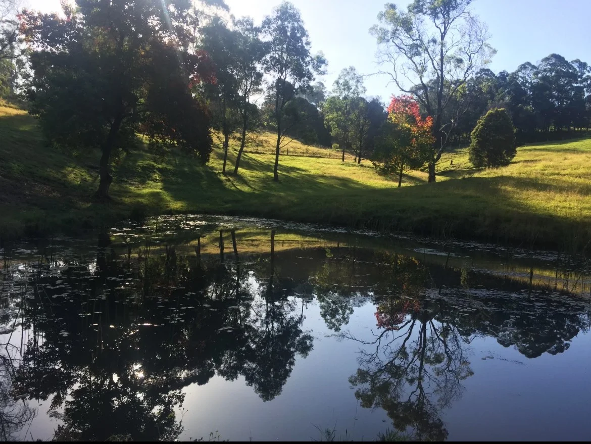 Additional image 17 of 36 Vincents Road, Kurrajong NSW 2758