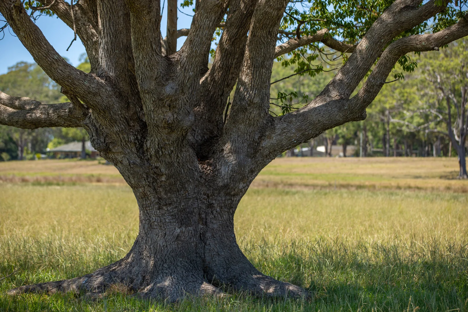 Additional image 28 of 79, 81 & 249 Elliots Road, Nabiac NSW 2312