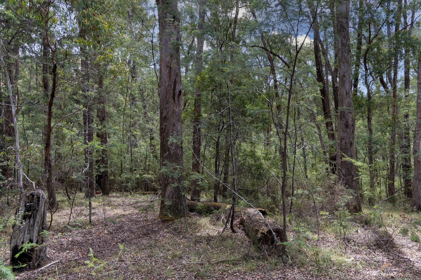 Additional image 7 of CA1 Mansfield-Woods Point Road, Knockwood VIC 3723