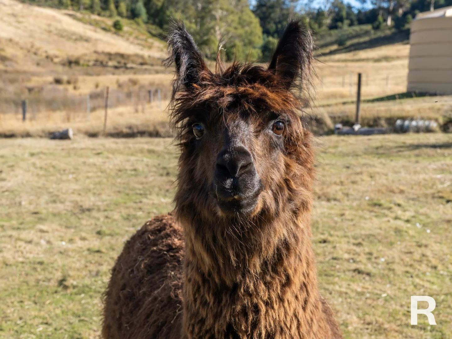 Additional image 26 of 8613 Lyell Highway, Ouse TAS 7140