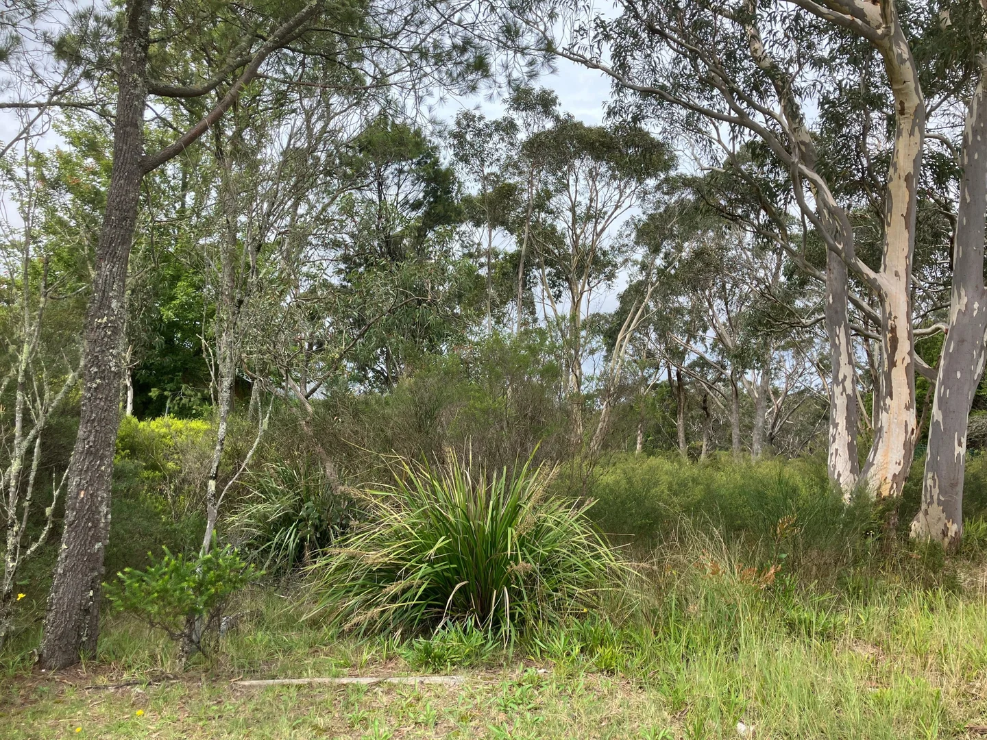 Additional image 10 of 1 Woodlands Road, Katoomba NSW 2780