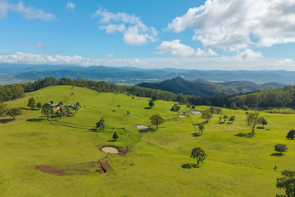 Additional image 19 of 669 Costigans Road, Yarras NSW 2446