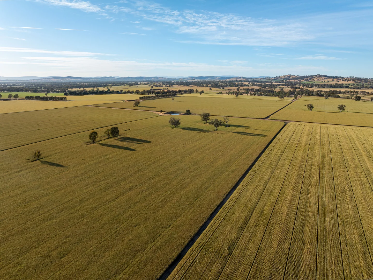 Additional image 12 of 158 Bethel Road, Burrumbuttock NSW 2642