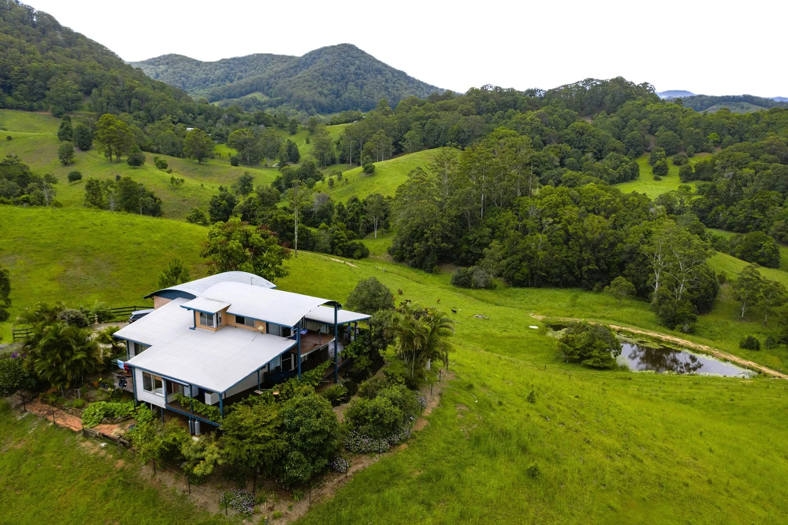 6 Ringtail Road, Stokers Siding NSW 2484