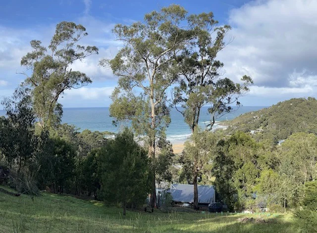 Additional image 9 of 18 Karingal Drive, Wye River VIC 3234