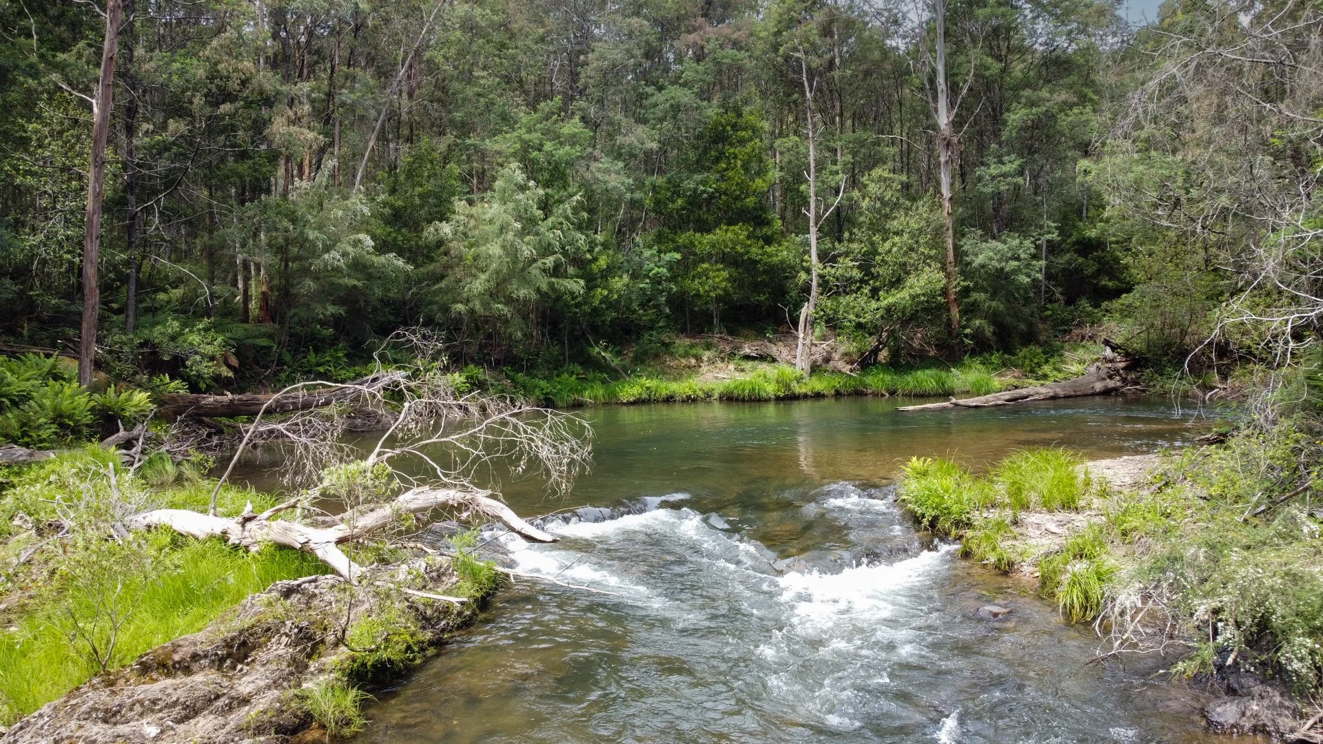 CA1 Mansfield-Woods Point Road, Knockwood VIC 3723