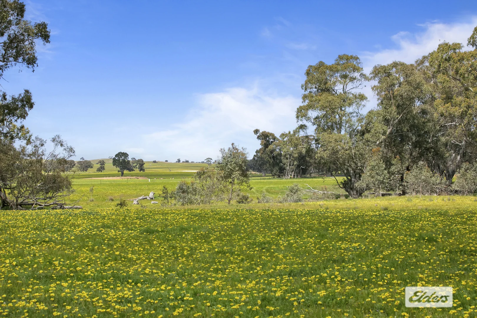 Additional image 29 of CA 18,92,9 Raeburn Road, Paradise VIC 3477