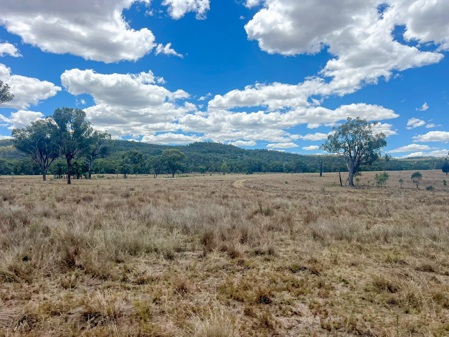 Additional image 28 of 742 Bendemeer Road, Kingstown NSW 2358