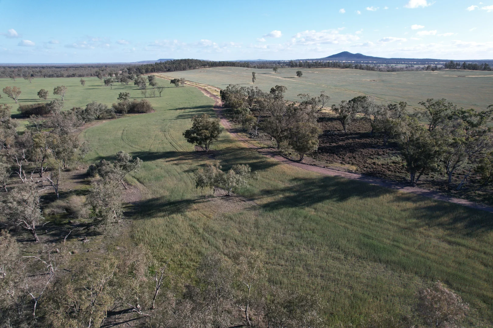 Additional image 8 of 1404 Lake Cowal, Forbes NSW 2871