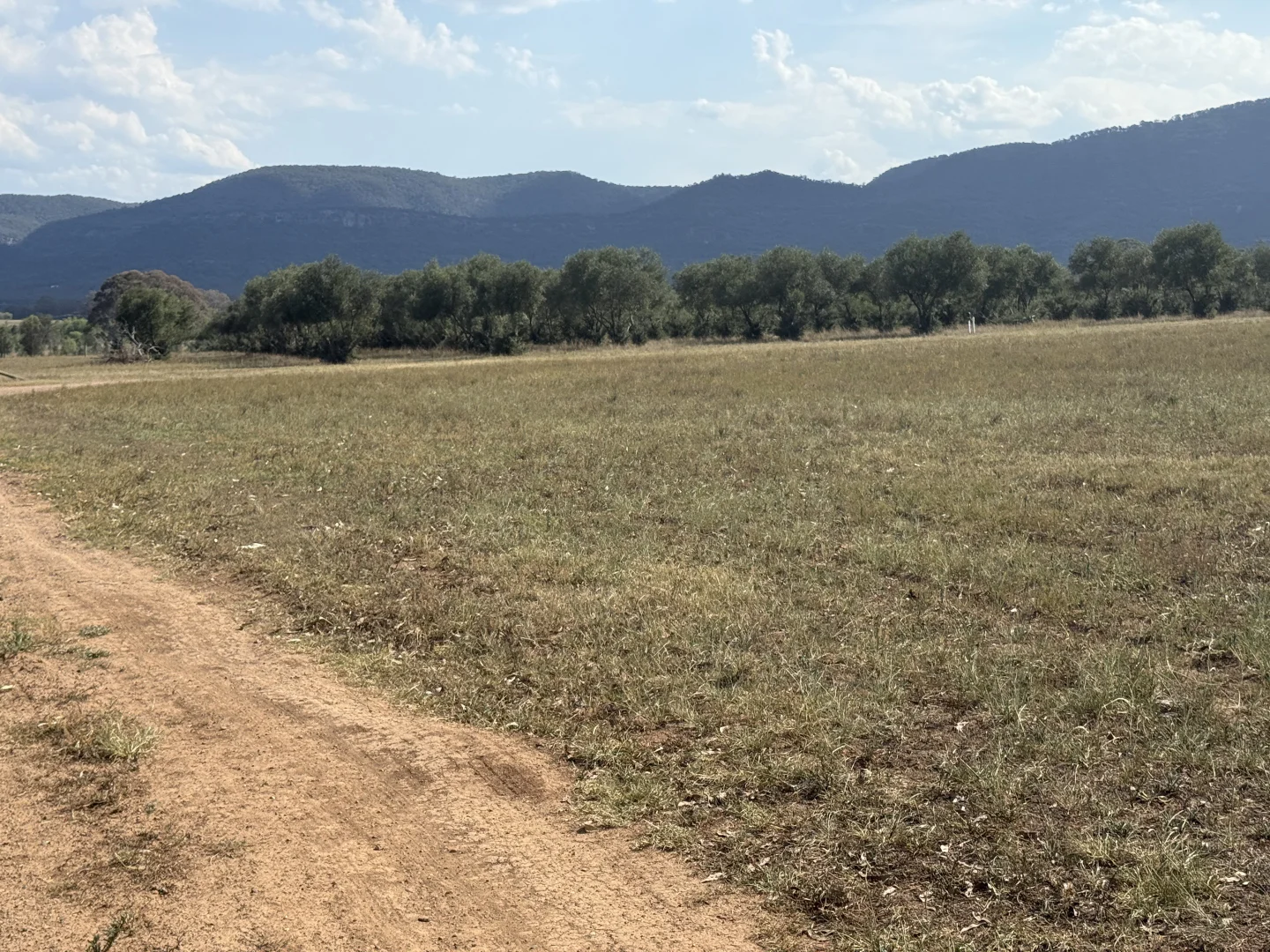 Additional image 48 of 207 Redmanvale Road, Jerrys Plains NSW 2330