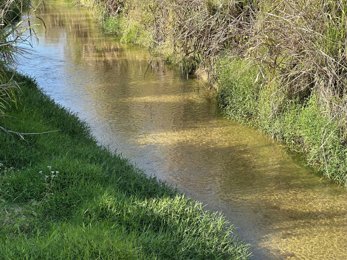 Additional image 2 of Lot 2 Broderick Road, Midgenoo QLD 4854