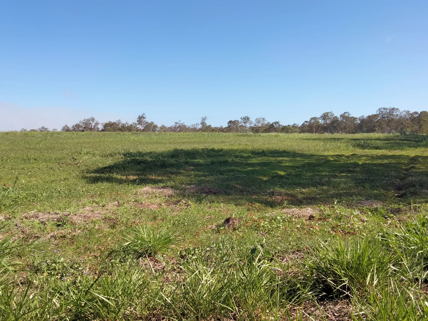 Additional image 60 of 2913 Rosedale Road, Yandaran QLD 4673