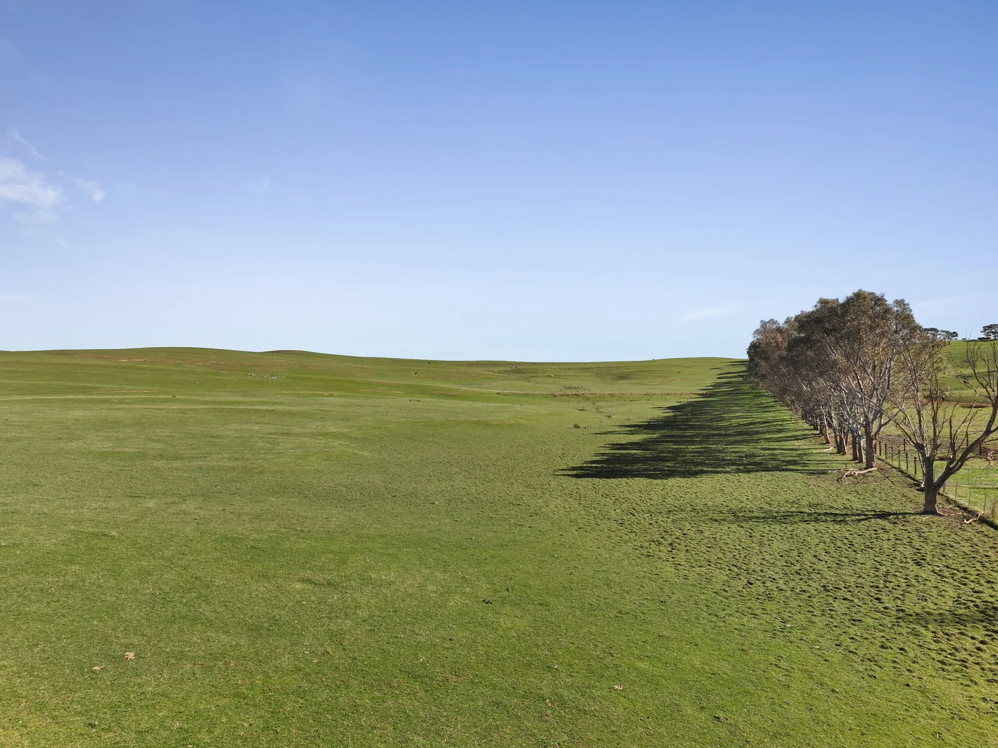 Additional image 8 of Lot 1, 214 Hearns Road, Boorolite VIC 3723