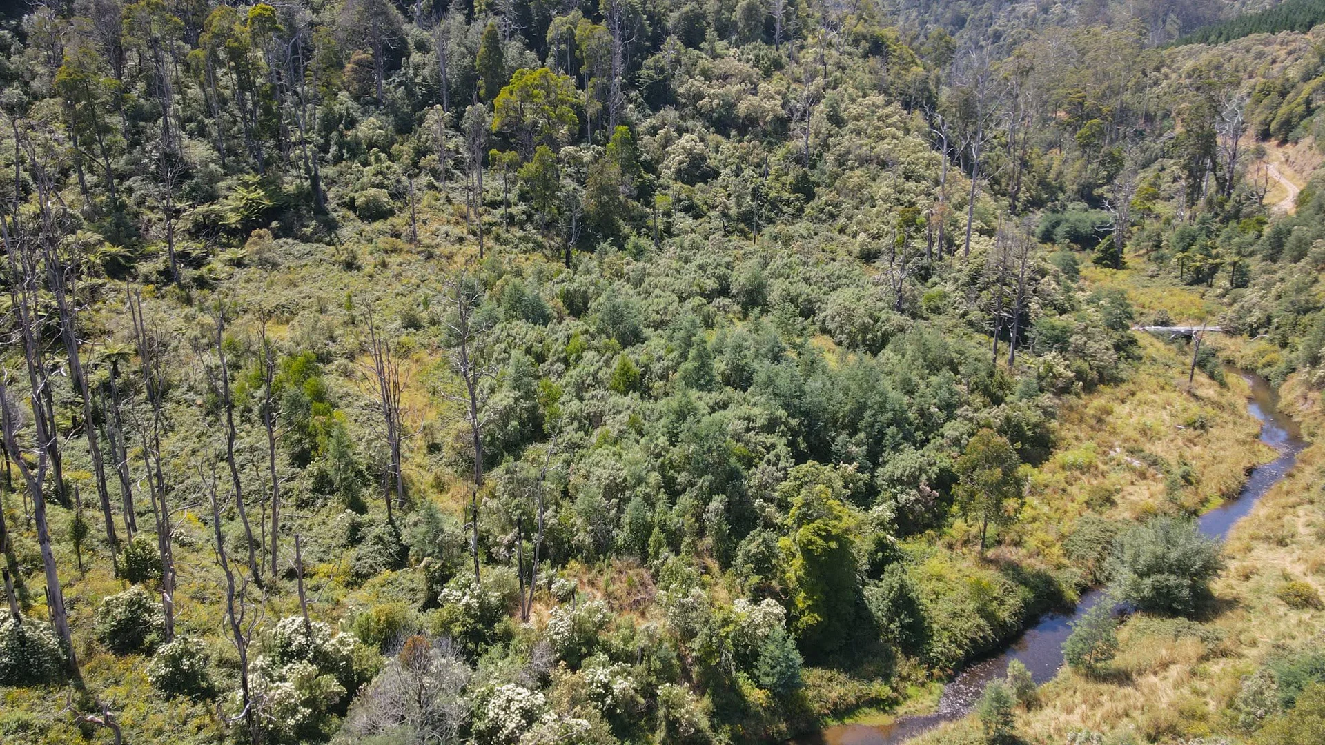 Additional image 7 of 1 Upper Middle Creek Road, Budgeree VIC 3870