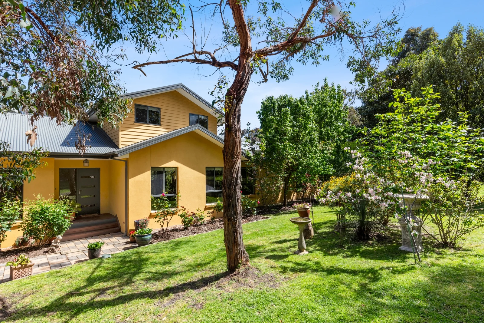 97 Coombes Road, Torquay VIC 3228