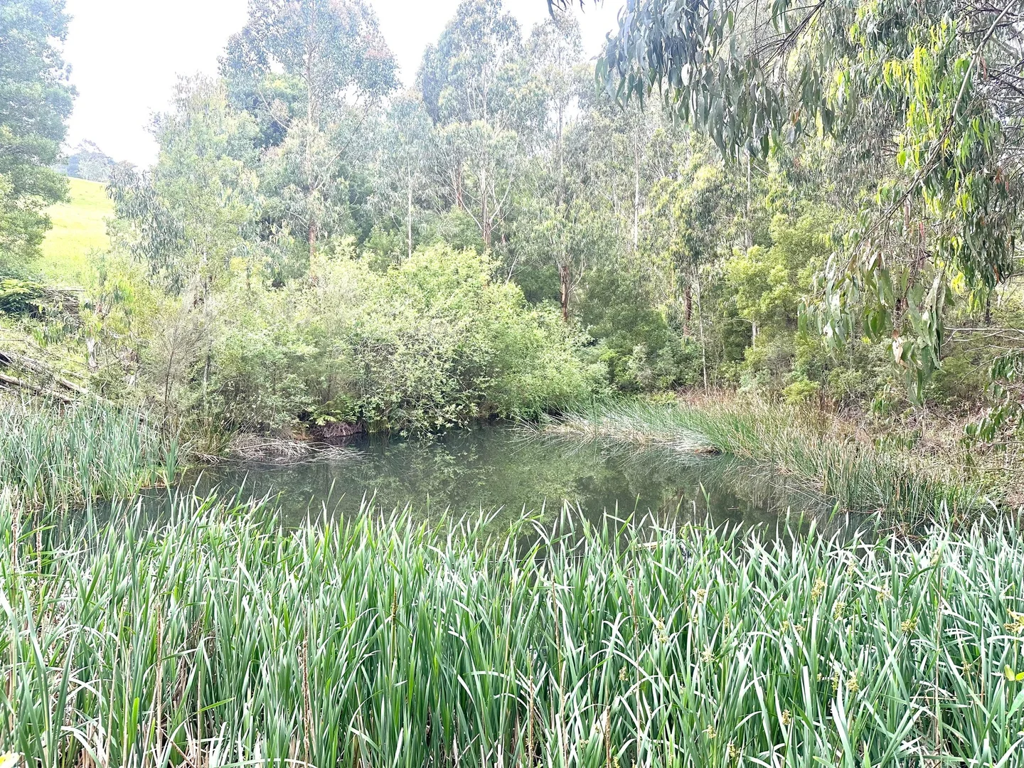 Additional image 17 of 655 Old Thorpdale Road, Mirboo North VIC 3871