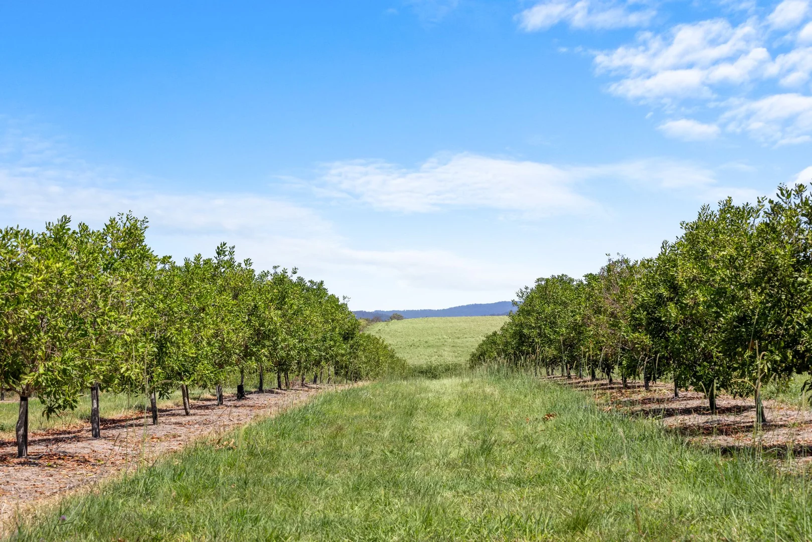 Additional image 4 of 1255 Bulmers Road, Hogarth Range NSW 2469