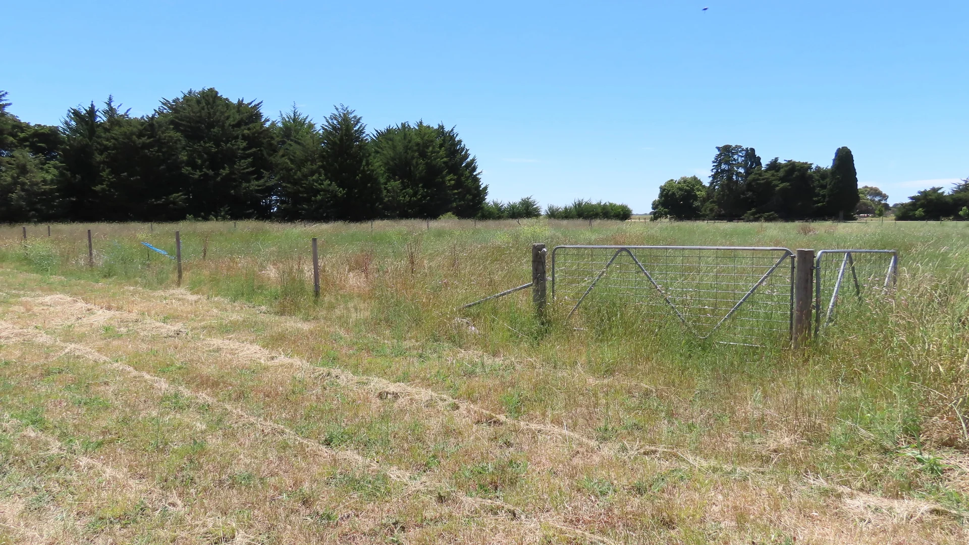 Additional image 18 of 68 Heywards Lane, Penola SA 5277