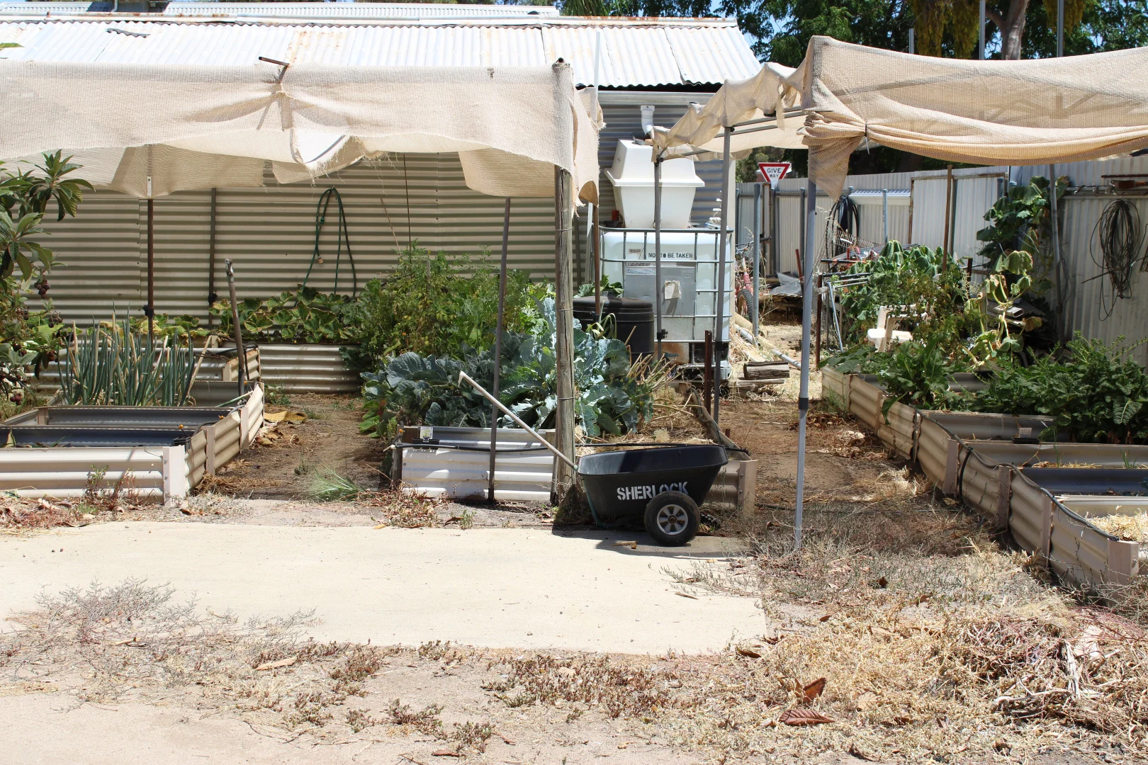 Additional image 18 of 56 Coronation St, Merredin WA 6415