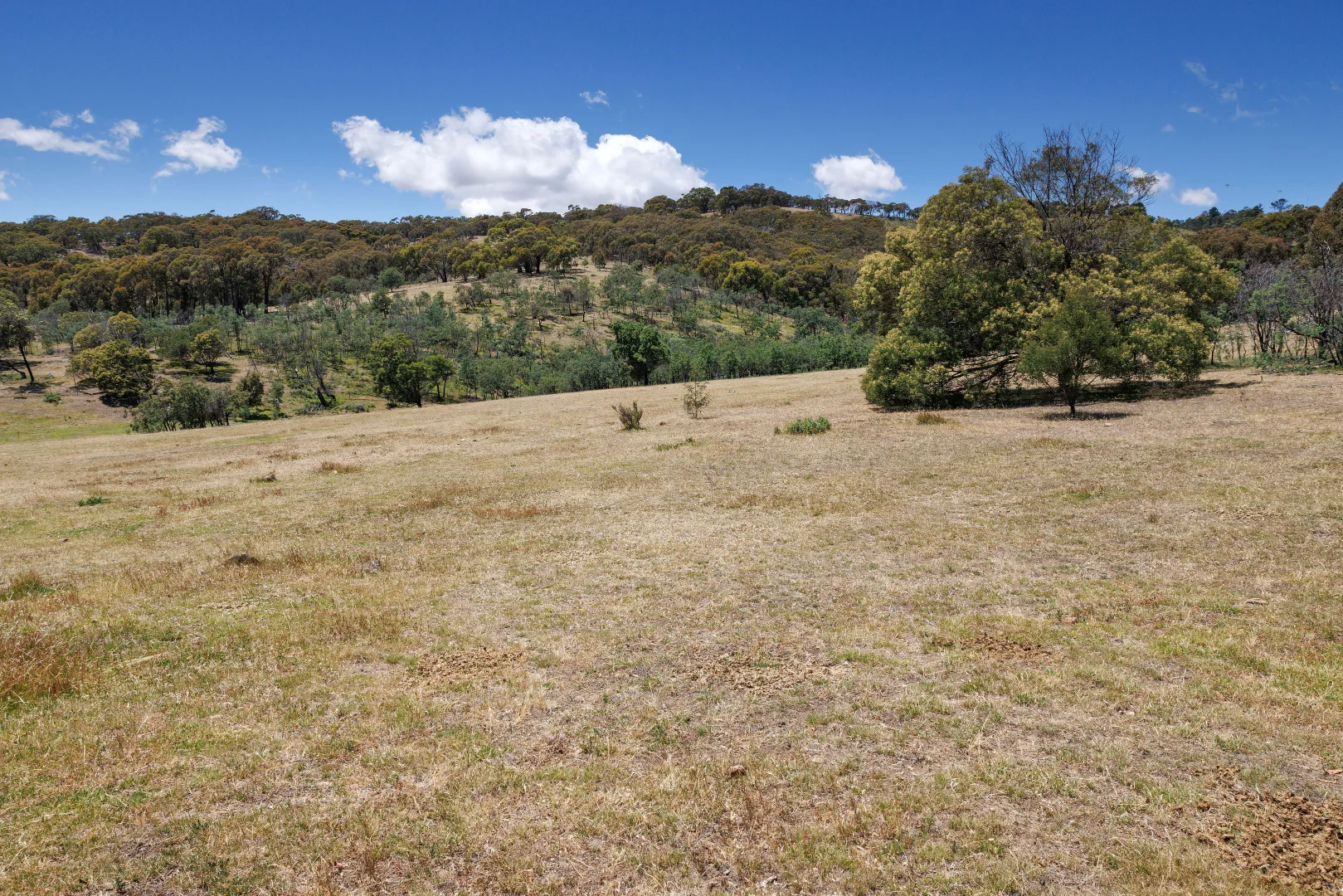 Additional image 29 of 55 Dons Lane, Glenhope East VIC 3522