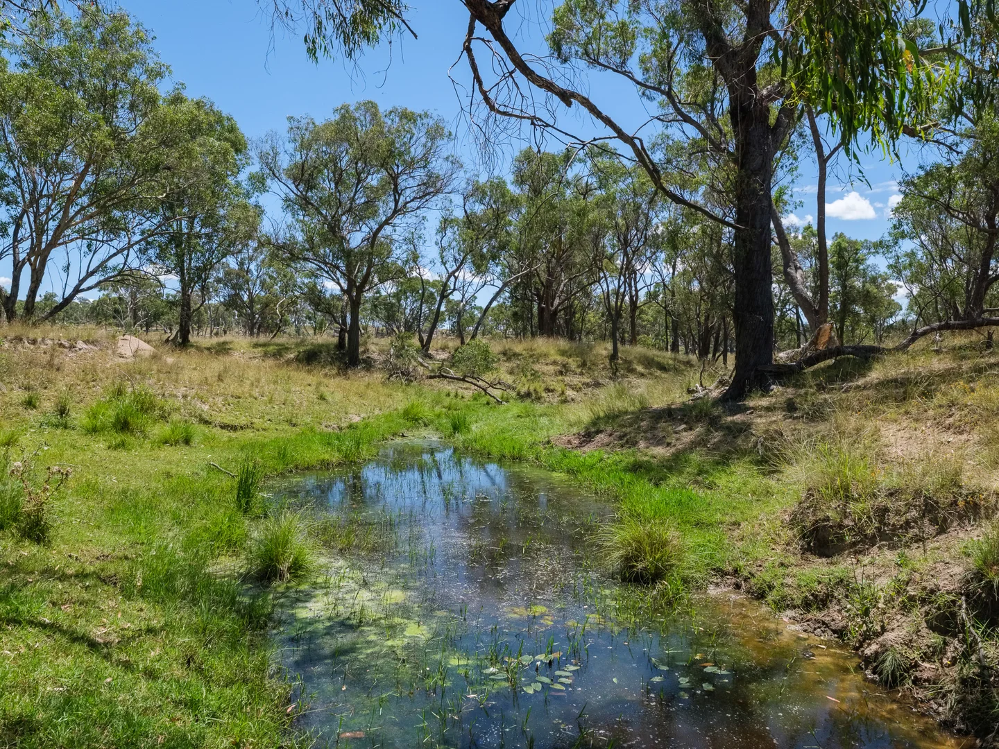 Additional image 9 of 778 Torryburn Road, Yarrowyck NSW 2358
