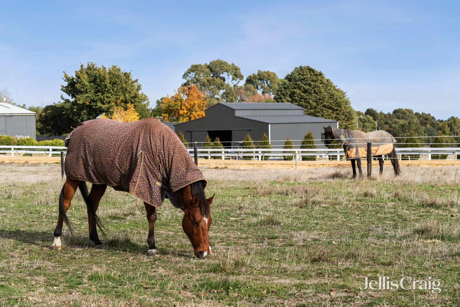 Lot 4/203 Sharpes Road, Miners Rest VIC 3352