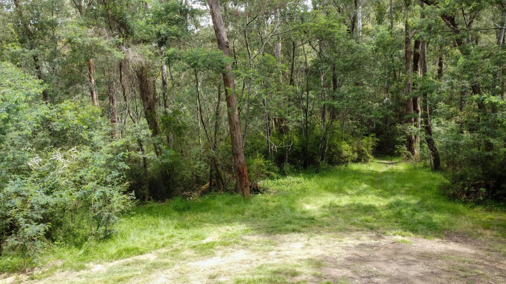 Additional image 5 of CA1 Mansfield-Woods Point Road, Knockwood VIC 3723