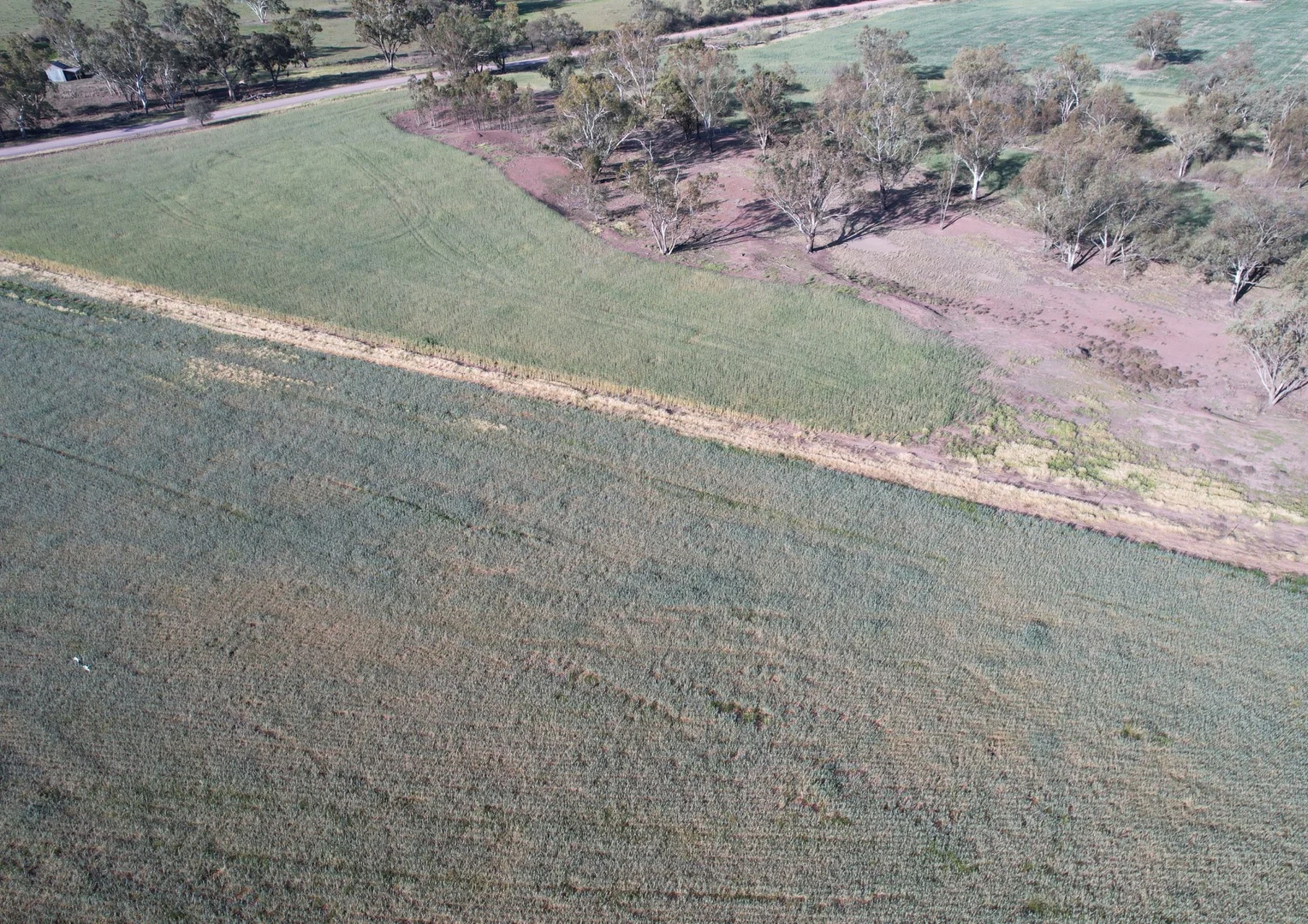 Additional image 13 of 1404 Lake Cowal, Forbes NSW 2871